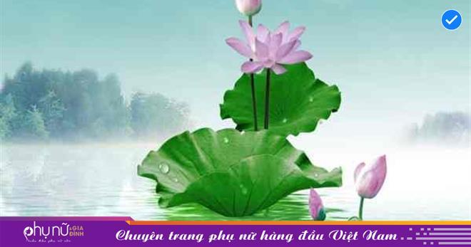 Nằm Mơ Thấy Bắt Gà Đánh Con Gì? Giải Mã Chi Tiết