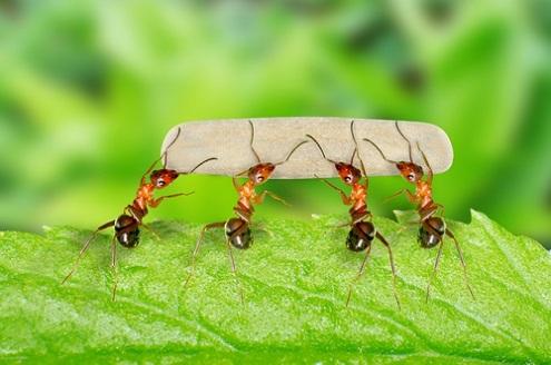 Nằm Mơ Thấy Bị Thiến: Giải Mã Bí Ẩn Số Đề
