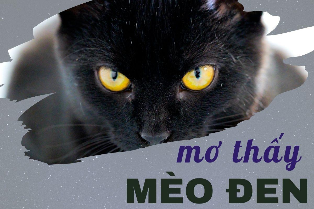 Mơ thấy mèo đen cắn