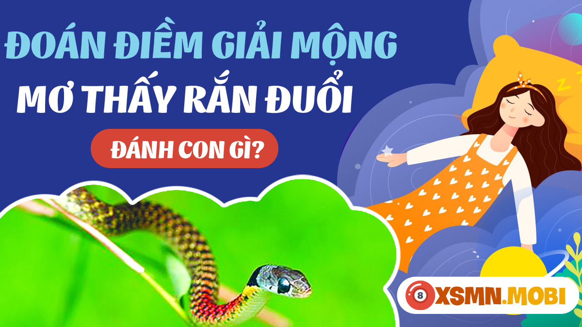 Mơ thấy rắn đen đuổi đánh con gì?