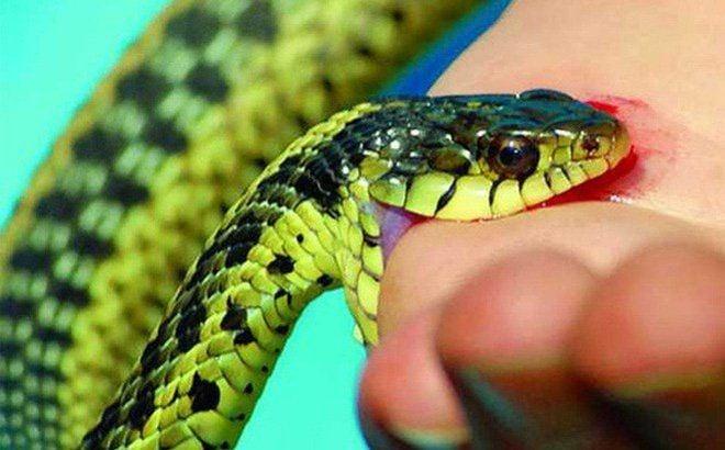 Nằm Mơ Thấy Bố Mất Đánh Con Gì? Giải Mã Bí Ẩn