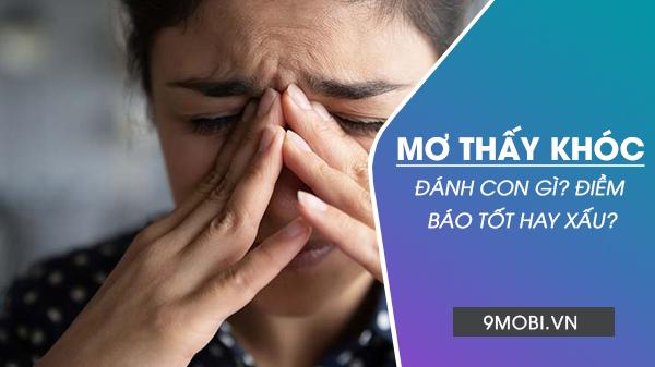 Nằm Mơ Thấy Chó Khóc: Điềm Báo Gì Về Số Đề?
