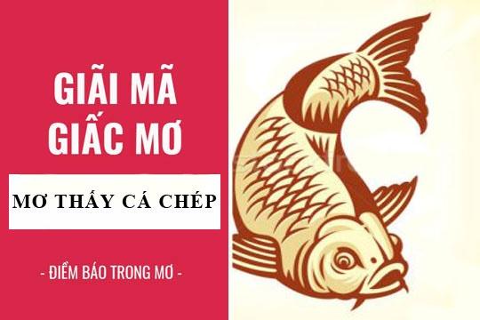 Nằm Mơ Thấy Mẹ Bị Bắt Cóc: Giải Mã Số Đề