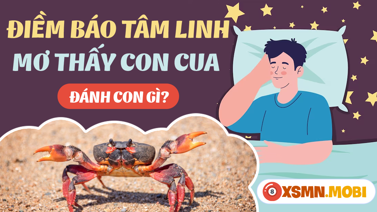 Nằm Mơ Thấy Người Yêu Cũ Của Người Yêu