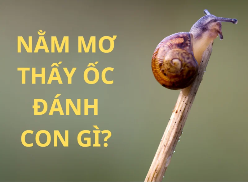 Nằm Mơ Thấy Được Mời Đám Cưới Đánh Con Gì?