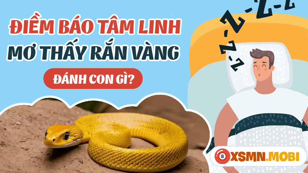 Nằm Mơ Nhặt Được Tiền 500 Nghìn: Điềm Báo Gì?