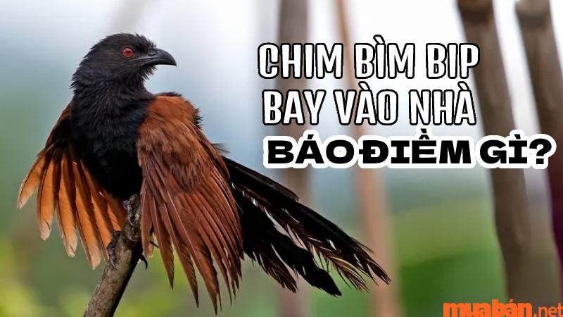 Nằm Mơ Thấy Chính Mình Mang Thai Đánh Con Gì?