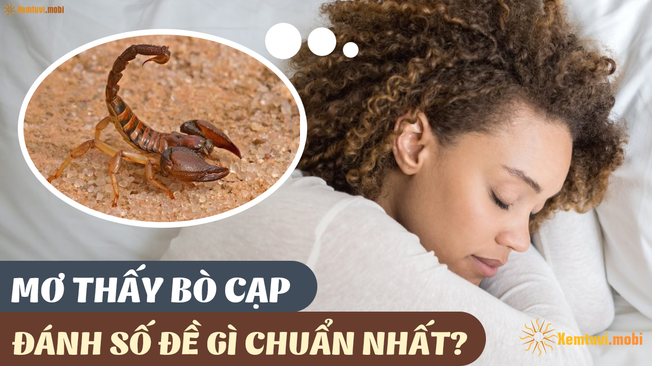 Bà Bầu Nằm Mơ Thấy Trẻ Con: Điềm Báo Gì?