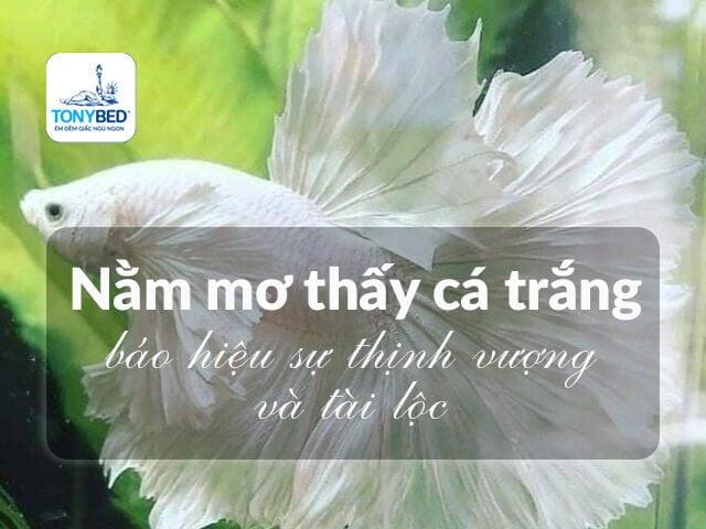 Nằm Mơ Thấy Vợ Chết Đánh Con Gì? Giải Mã Chính Xác