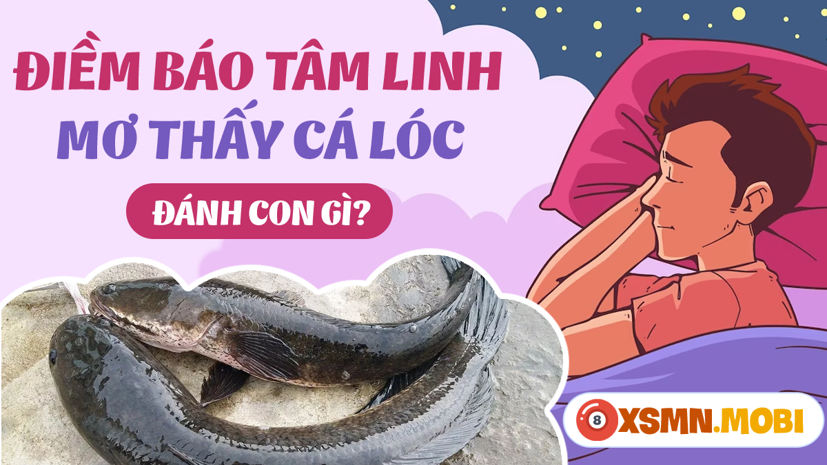 Nằm mơ thấy câu cá lóc to