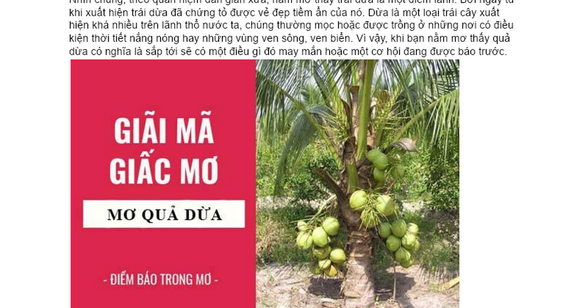 Nằm Mơ Thấy Cá Chép Trắng: Điềm Báo Gì Về Số Đề?