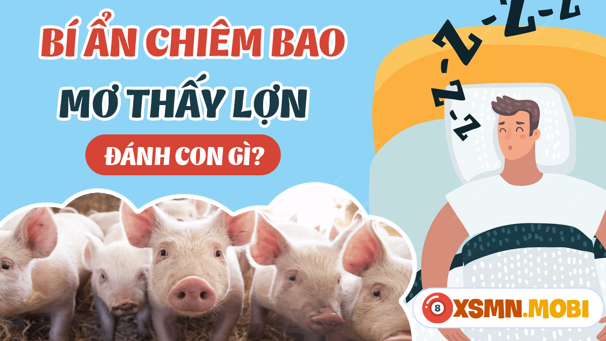 Nằm Mơ Thấy Chó Khóc: Điềm Báo Gì Về Số Đề?
