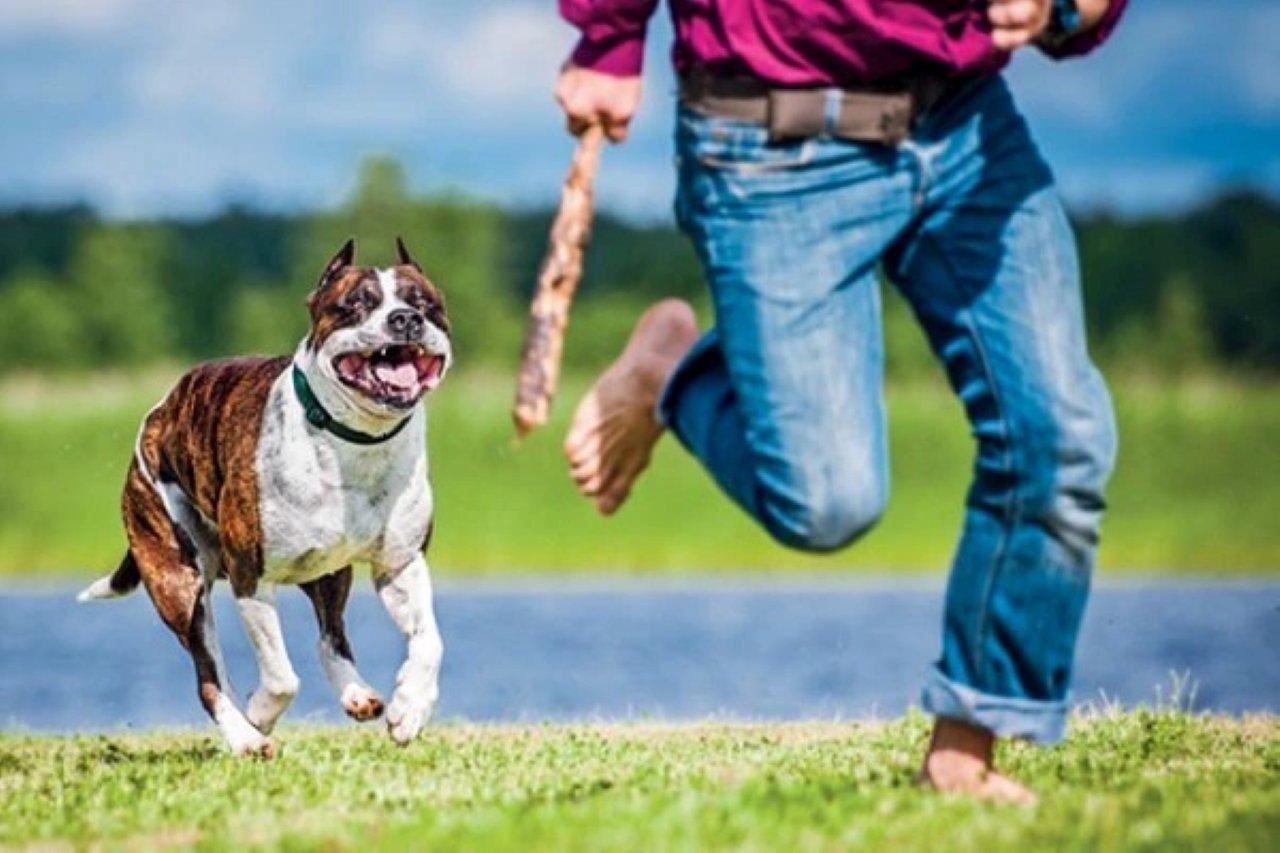 Giải Mã Giấc Mơ Thấy Bãi Giữ Xe Và Những Con Số Liên Quan