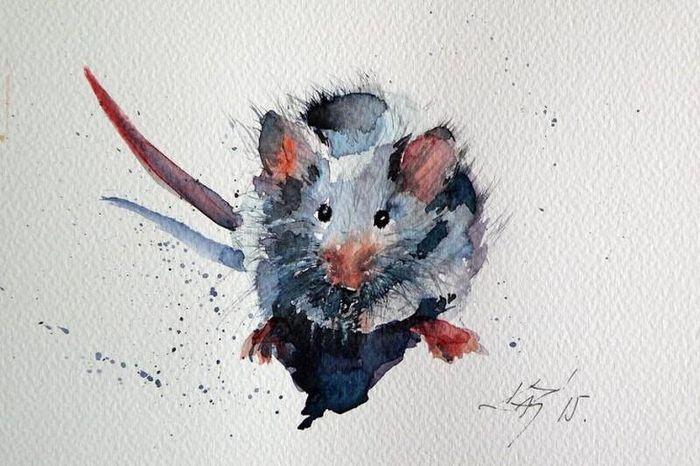 Nằm mơ thấy chuột cắn