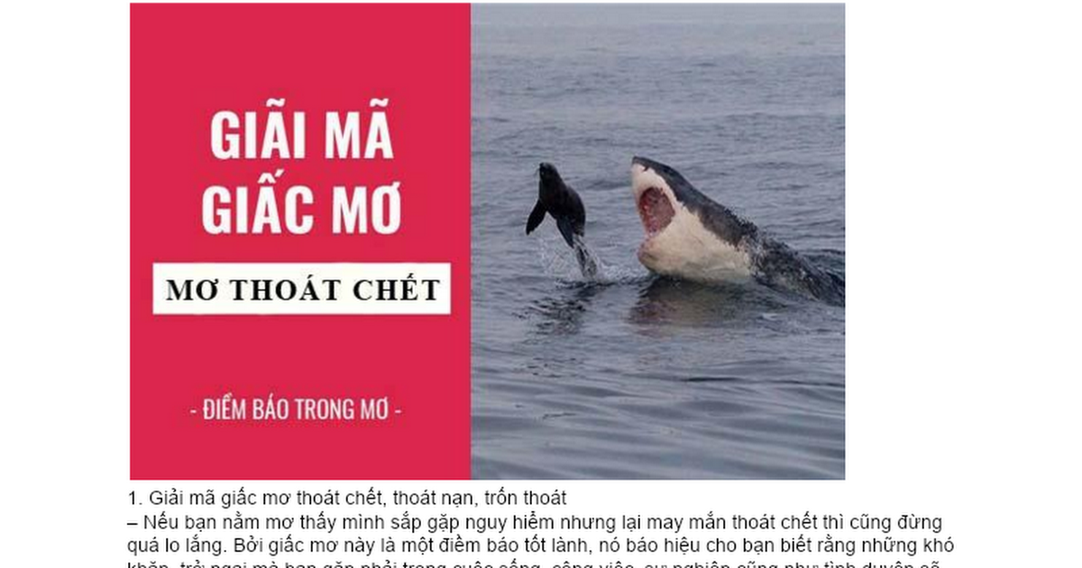 Nằm Mơ Thấy Cá Điều Hồng: Giải Mã Và Số Đề Liên Quan
