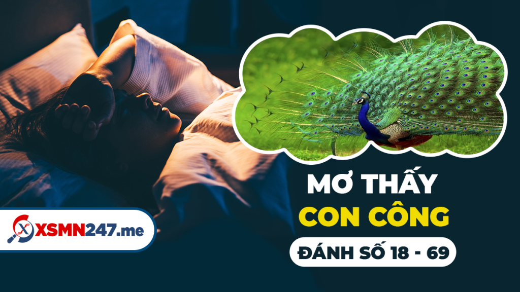 Nằm mơ thấy con công xòe đuôi mang điềm báo gì?