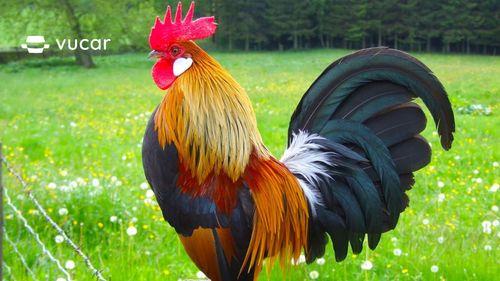 Giải Mã Giấc Mơ Thấy Cha và Số Đề Liên Quan