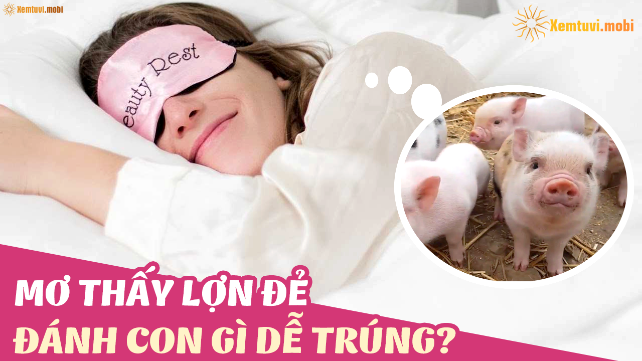 Nằm Mơ Mất 2 Xe Máy Đánh Con Gì? Giải Mã Bí Ẩn