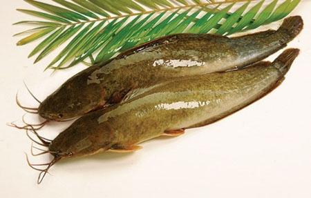 Giải Mã Giấc Mơ Thấy Nhiều Con Thỏ