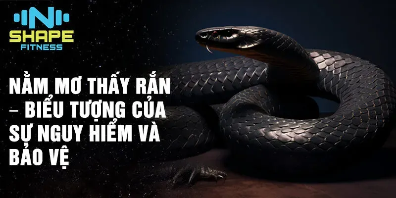 Nằm Mơ Thấy Mình Bay Lên Trời Đánh Số May