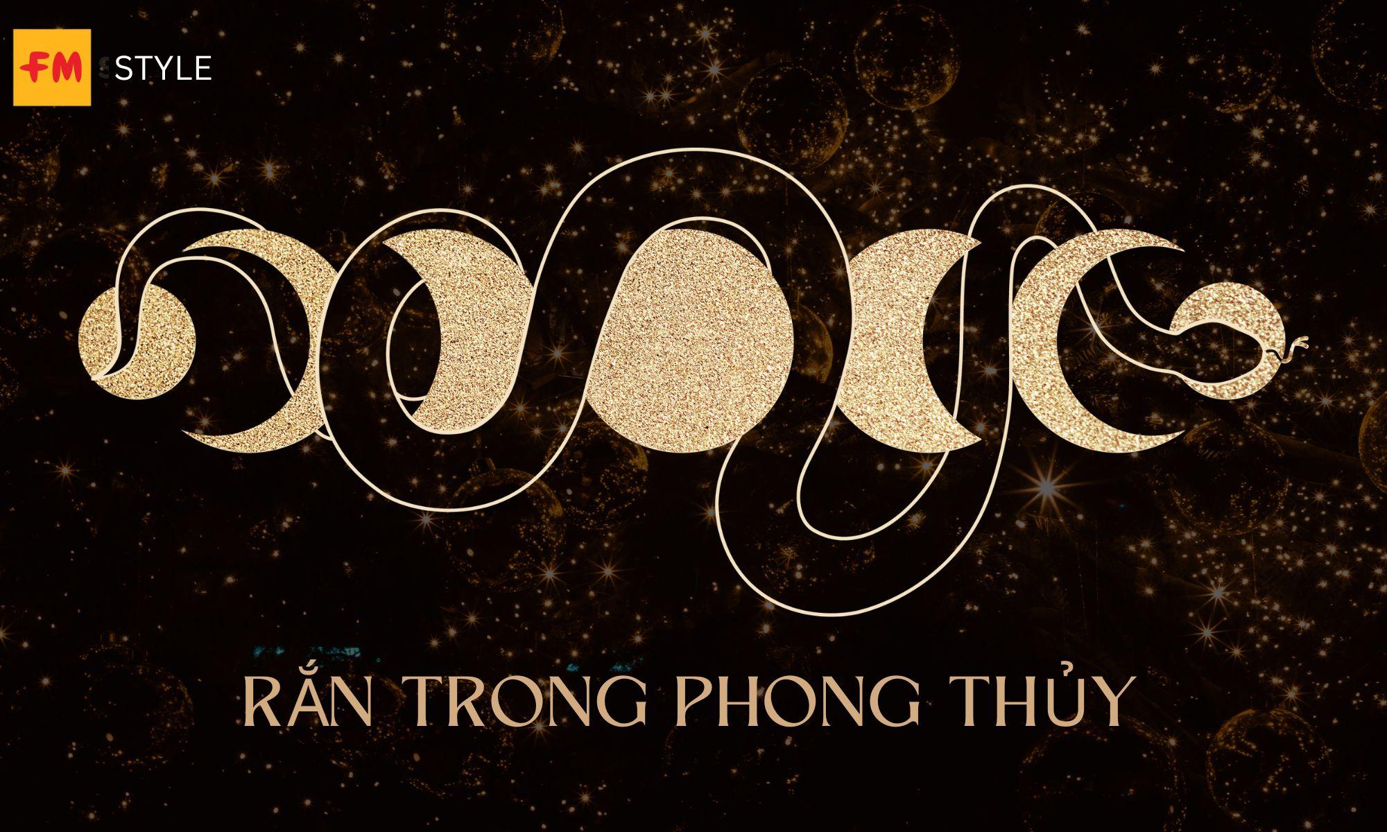 Nằm Mơ Thấy Cóc Đánh Con Gì? Giải Mã Và Số Đề Liên Quan