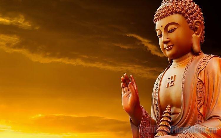 Bà Bầu Nằm Mơ Thấy Giết Rắn: Điềm Báo Gì?