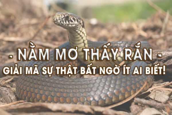 Giải Mã Giấc Mơ Thấy Chạy Trên Đường