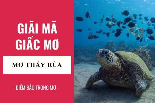 Nằm mơ thấy vợ ngoại tình là điềm gì? Giải mã giấc mơ