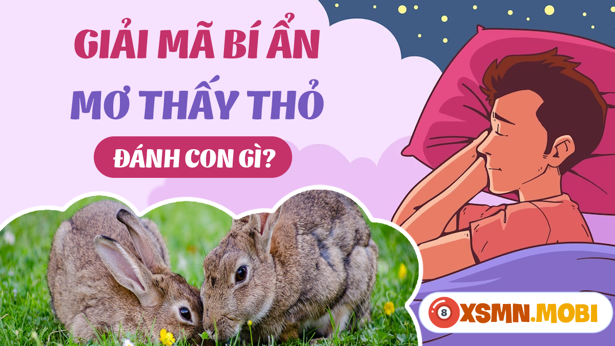 Nằm Mơ Thấy Gà Vào Nhà Đánh Con Gì?