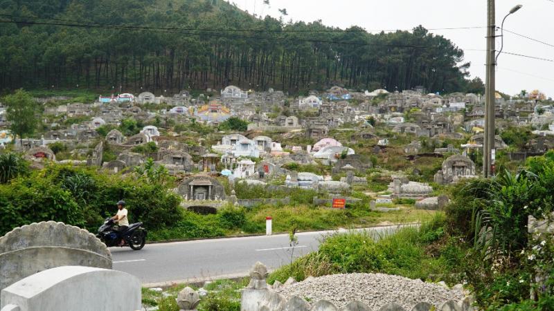 Giải Mã Giấc Mơ Cá Quả và Những Con Số Liên Quan