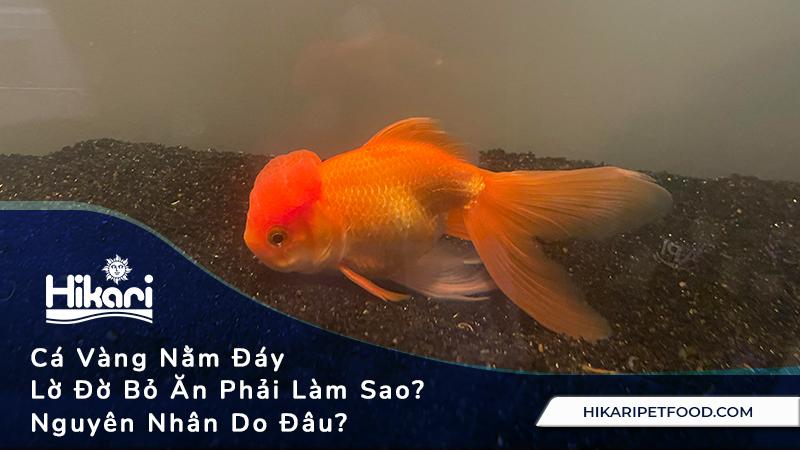 Giải Mã Giấc Mơ Thấy Bãi Giữ Xe Và Những Con Số Liên Quan