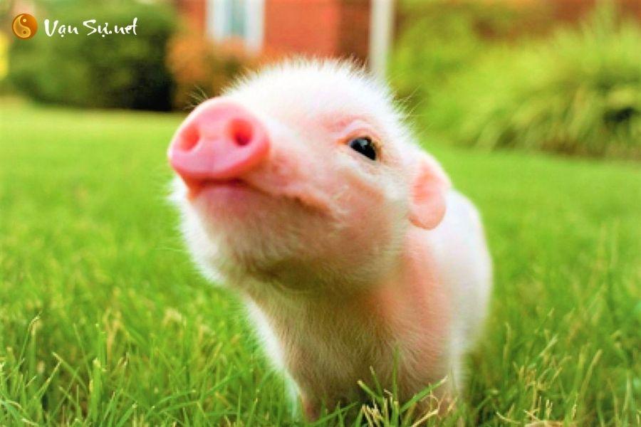 Giải Mã Giấc Mơ Thấy Kéo Thuyền Trên Sông