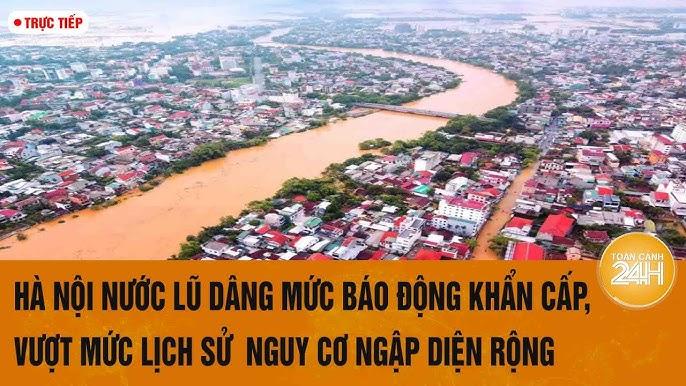 Giải Mã Giấc Mơ Thấy Cây Thì Đánh Con Gì?