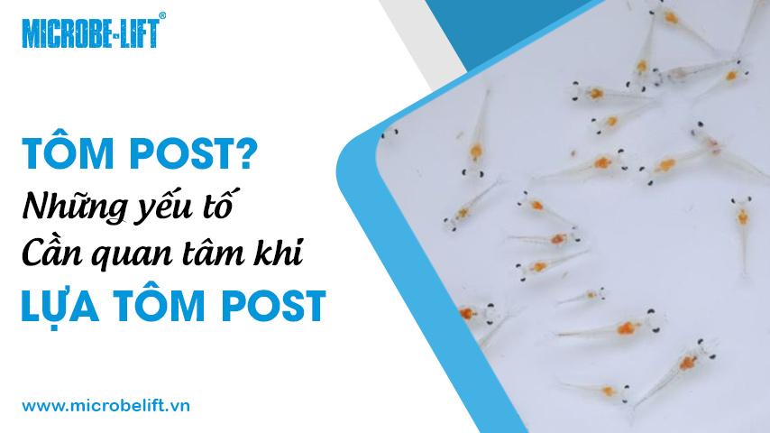 Giải Mã Giấc Mơ Thấy Mẹ Chồng Cũ Và Con Số May Mắn