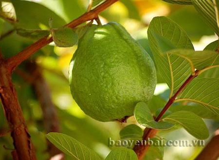 Nằm Mơ Nghe Tin Người Chết: Giải Mã &amp; Số Đề