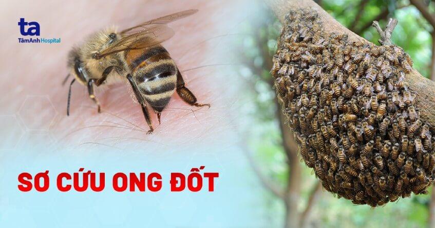 Nằm Mơ Thấy Mình Chạy Trốn Đánh Con Gì?