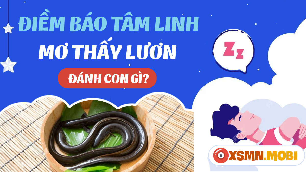 Nằm Mơ Thấy Con Ngựa Đánh Số Gì?