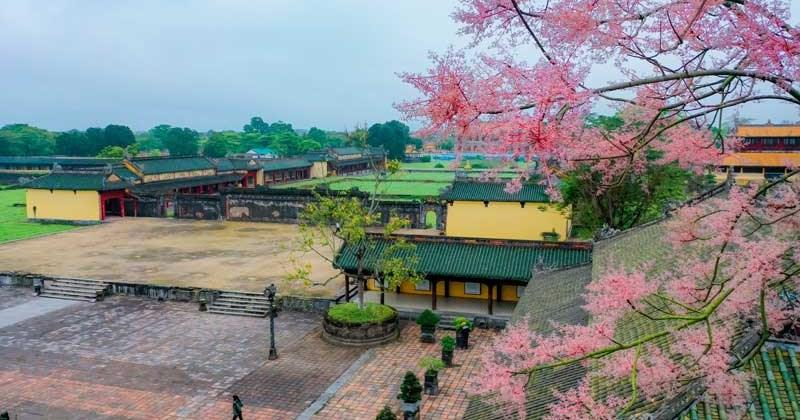 Nằm Mơ Thấy Ăn Thịt Gà Đánh Con Gì? Giải Mã Chi Tiết