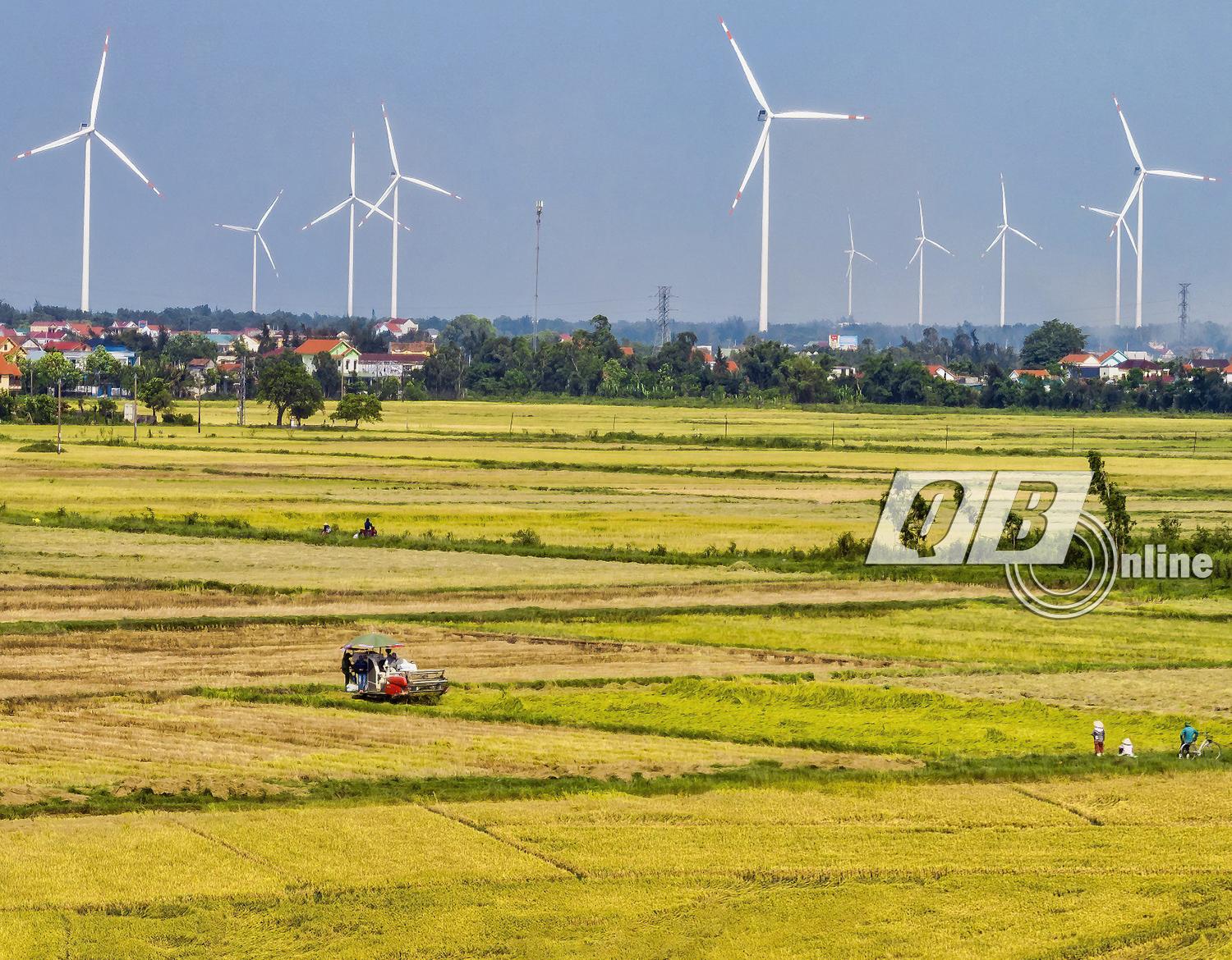 Phương pháp luận giải giấc mơ cấy lúa
