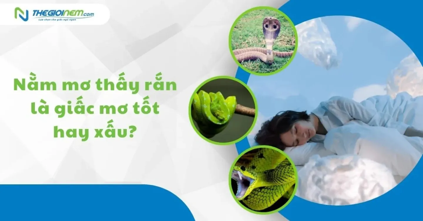 Rắn biến thành người trong mơ
