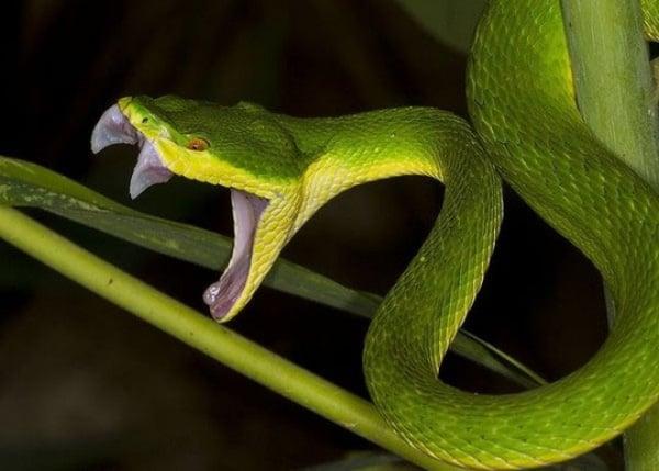 Giải Mã Giấc Mơ Thấy Nhà Hàng Xóm Và Số Đề