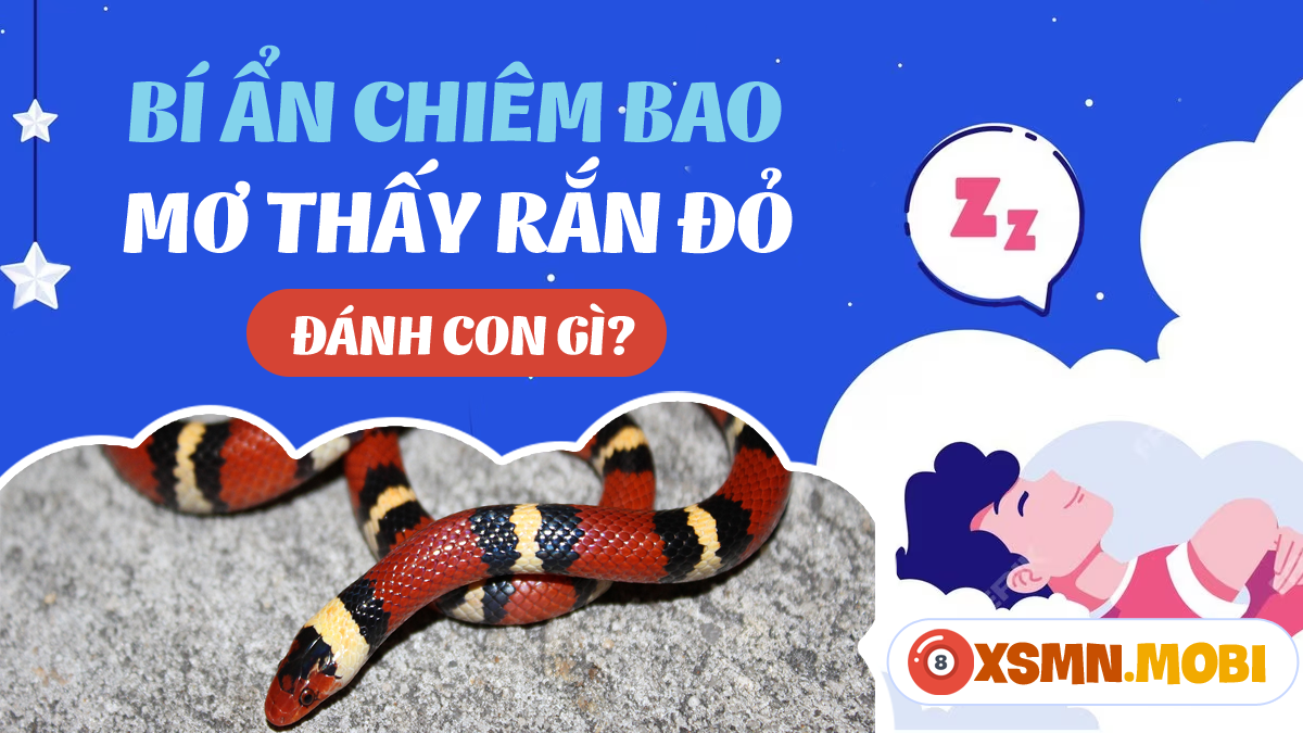 Nằm Mơ Thấy Mình Ăn Trộm Xe Máy: Giải Mã & Số Đề