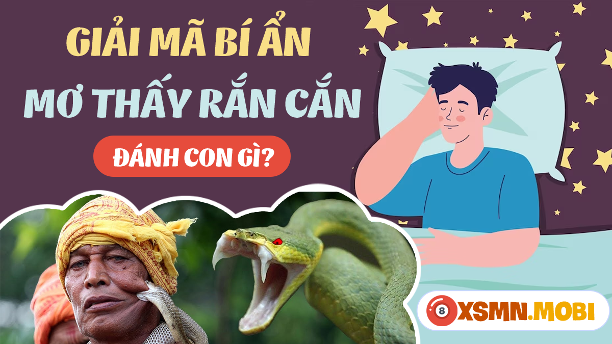 Nằm Mơ Thấy Bướm Phụ Nữ Đánh Con Gì?
