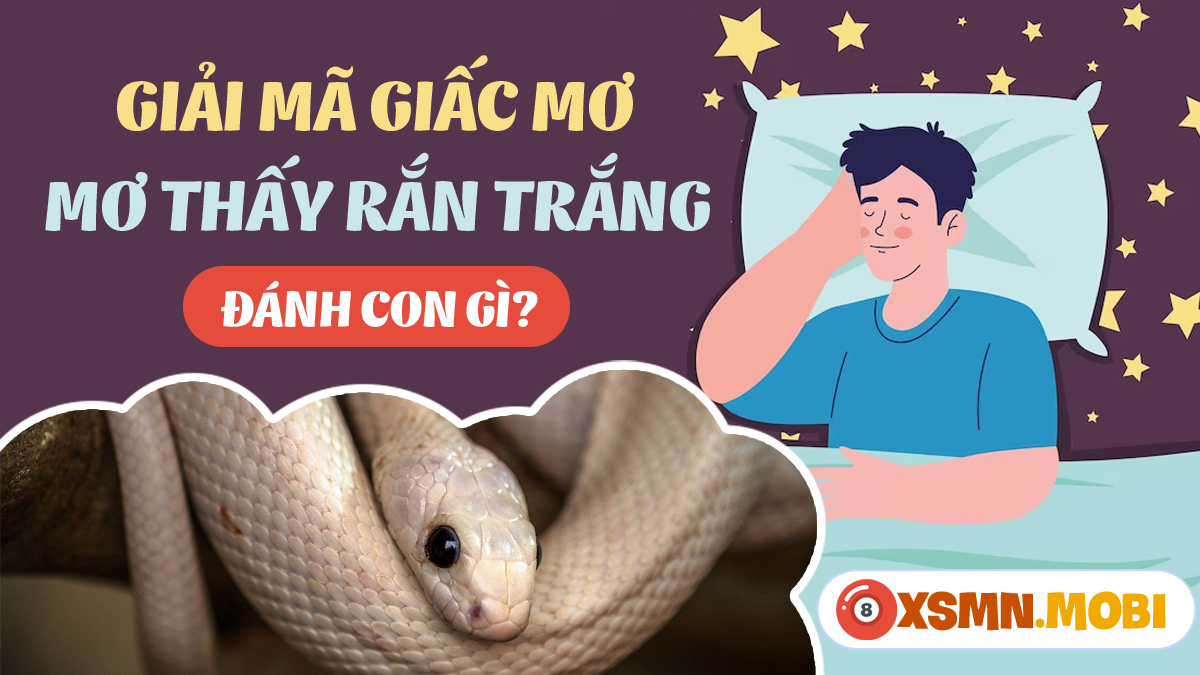 Nằm Mơ Thấy Ăn Trộm Vàng Là Số Mấy? Giải Mã Bí Ẩn