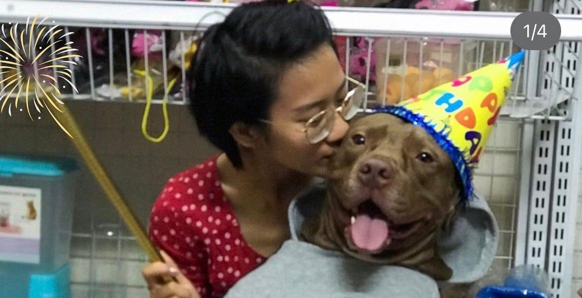Giải Mã Giấc Mơ Thấy Hoa Bị Ngạn Và Số Đề Liên Quan