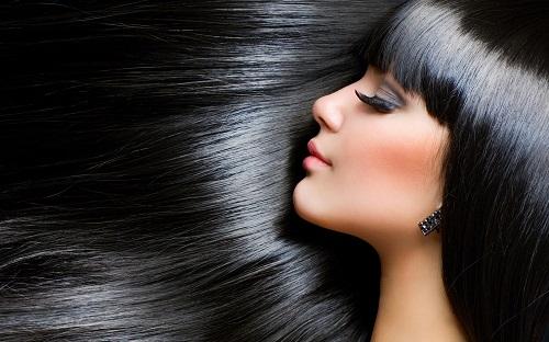 Nằm Mơ Thấy Chó Cắn Nhau Đánh Con Gì?