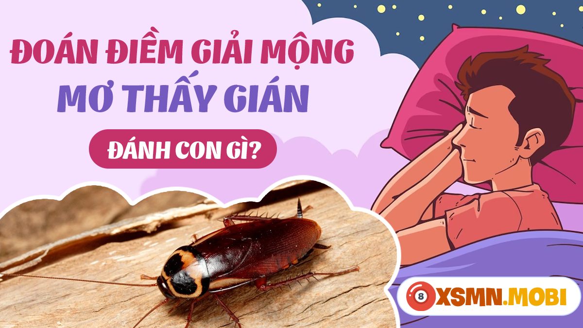 Nằm Mơ Thấy Tóc Bạc Đánh Số Gì? Giải Mã Bí Ẩn