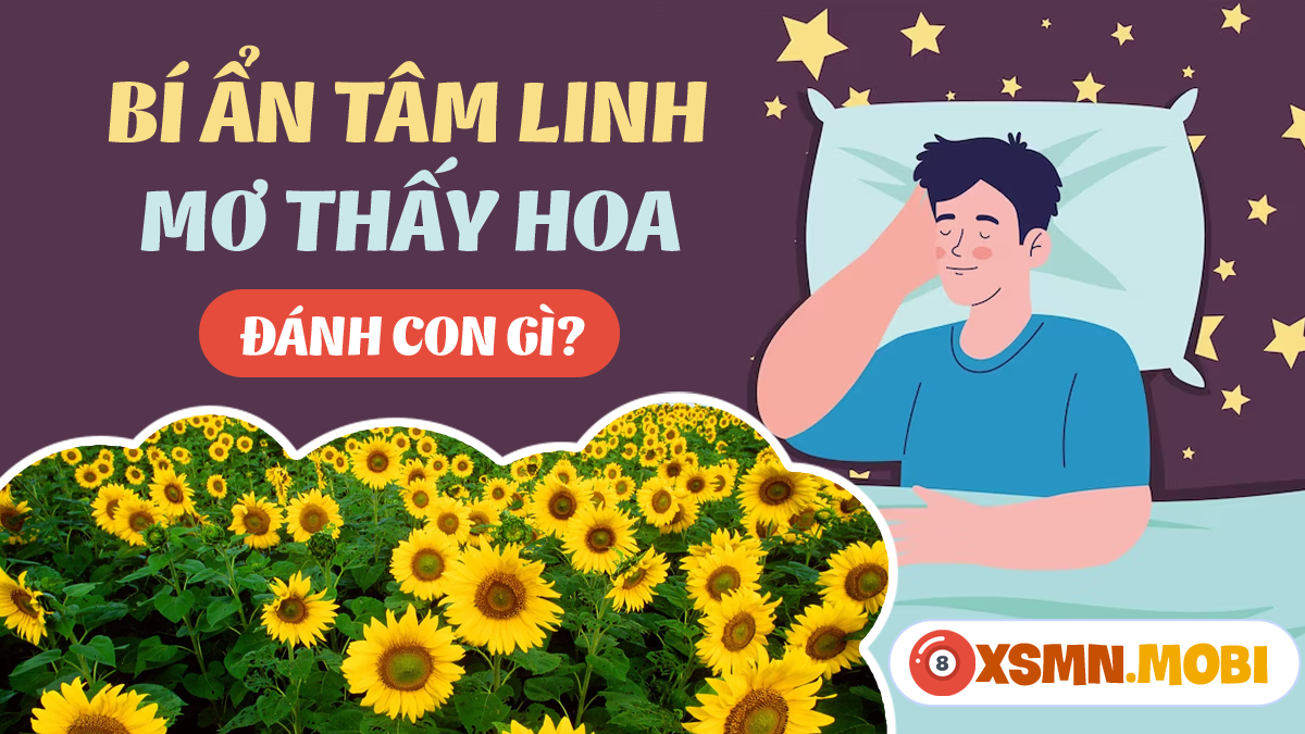 Giải Mã Giấc Mơ Đệm Hát Đêm Nằm Mơ Phố