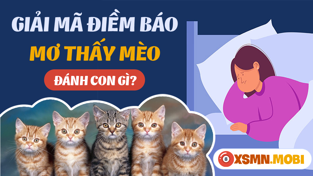 Sổ mơ mèo kêu