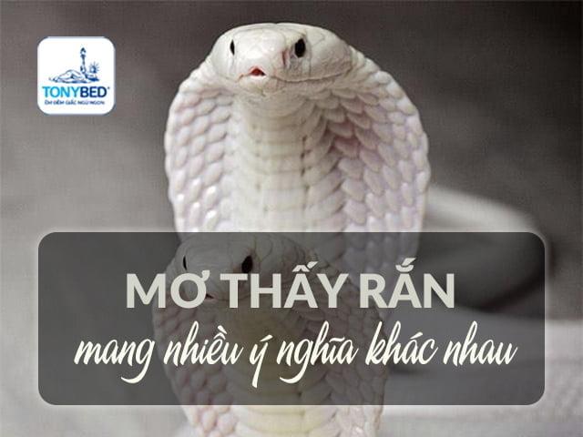 Nằm mơ thấy chó con cắn la điềm gì? Giải mã bí ẩn!